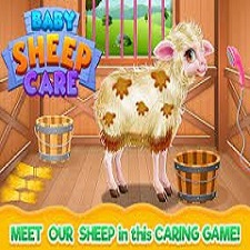 baby-sheep