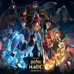 Harry Potter magic awakened